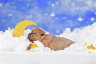 Red fawn French Bulldog puppy between fluffy clouds with moon and stars