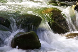 Stream, detail, mossy stones, flowing water, blurred, Madonie National Park, spring, Sicily, Italy,