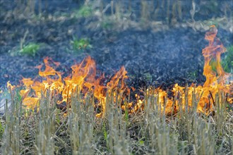 During controlled field fires, the firefighters were able to test various extinguishing methods,