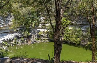 Sacred Cenote, Chichen Itza, Mayan ruins, Yucatan, Mexico, Central America