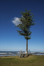 Couple enjoying the sunshine on Lennox head, Byron Bay, Queensland, Australia, Oceania