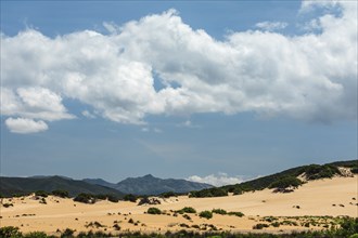 Dunes at Scivu Beach, Arbus, Province of Sud Sardegna, Sardinia, Italy, Arbus, Sardinia, Italy,