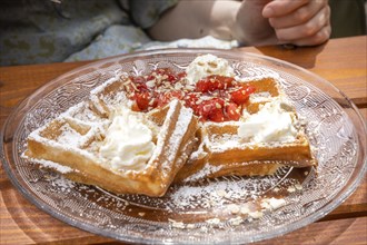 Delicious waffles, Cafehäusle, Calw, Black Forest, Germany, Europe