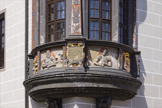 Torgau Town Hall on the Market Square