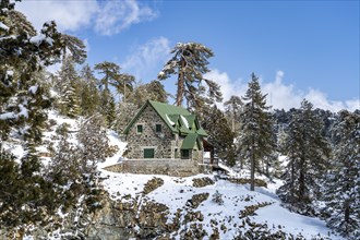 Snowy landscape in the Troodos Mountains in Trodoos, Cyprus, Europe