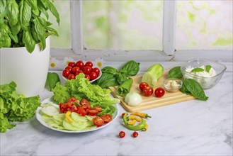 Fresh vegetables on board and plate, salad ingredients, cucumber peeled, tomatoes, lettuce, basil,