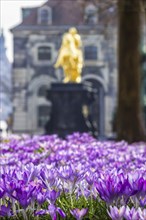 Spring on the main street in Dresden