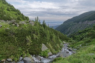 Rocky landscape at the upper course of the Balea stream in the Fagaras Mountains, also Fogaras