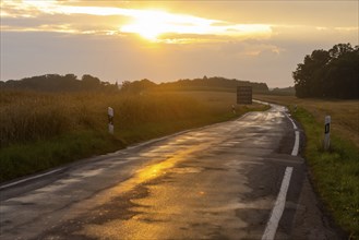 Country road near Bärnsdorf after a rain shower