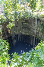 People swimming in limestone sinkhole pool, Cenote Ik kil, Pisté, Yucatan, Mexico, Central America