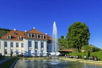 Winery Wackerbarth Castle