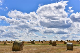 Straw bales on a harvested grain field in Bavaria, Germany, Europe