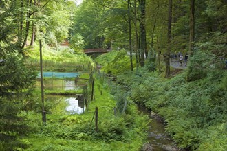 Trout ponds in the Amselgrund in Rathen