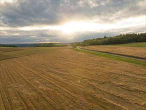 Sunset on the cornfield, Gechingen, Black Forest, Germany, Europe