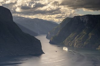 Cruise ship in narrow fjord, Sognefjord, Norway, Europe