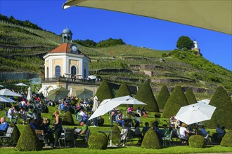 Winery Wackerbarth Castle