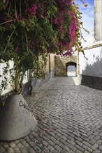 Narrow Street leading to the Porta Nova, Faro old town, Algarve, Portugal rta Nova 390