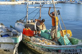 Small fishing boats in port, Campeche city, Campeche State, Mexico, Central America