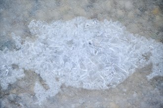 Detail of rozen water (ice) and air bubbles, Upper Palatinate, Bavaria, Germany, Europe