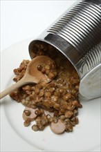 Lentil (Lens culinaris) dish in tin, lentil