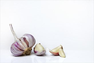 Garlic, garlic bulb and garlic cloves