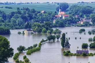 Flood in carp tavern near Meissen