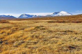 Dovrefjell National Park in autumn, mountains with snow, Snohetta, Oppdal, Norway, Europe