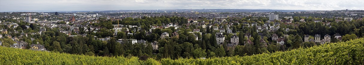 Panoramic view of the vineyard, the villas of the Nerotal and the state capital Wiesbaden,