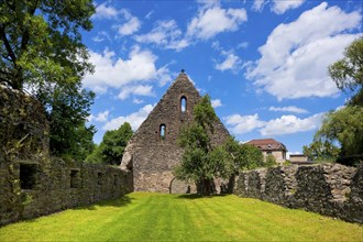 Altzella monastery. The bulk buildings on the other side of the mill race were used to store the