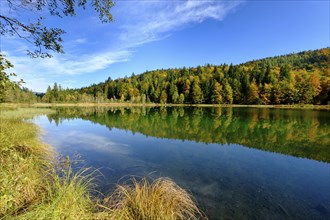 Frillensee near Inzell, Chiemgau, Upper Bavaria, Bavaria, Germany, Europe