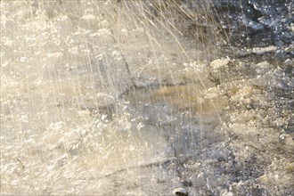 Rain against sunlight hits ice of a frozen lake, Upper Palatinate, Bavaria, Germany, Europe