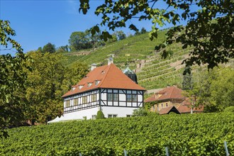 Hoflössnitz st a former Electoral Saxon, now municipal winery on the Saxon Wine Route In the 21st