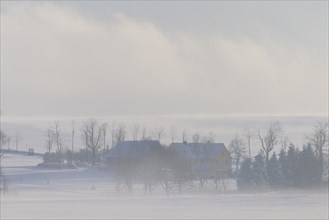 Snowy fields with fog near Liebenau in the Ore Mountains