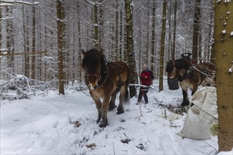 Winter in the Ore Mountains