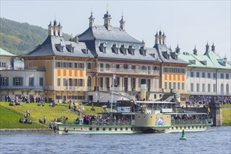 Steamship parade of historic paddle steamers in front of Pillnitz Palace