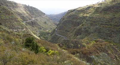 Barranco de la Virgen, Gran Canaria, Canary Islands, Spain, Europe