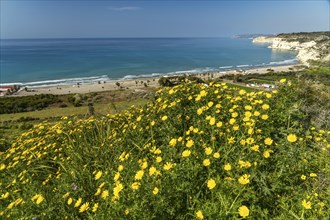 The beach of Kourion, Episkopi, Cyprus, Europe