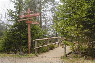 Signpost at the Oderteich, Nebel, Harz National Park, Lower Saxony, Germany, Europe