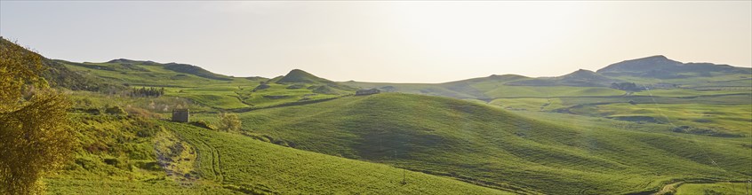 Green hilly landscape, blossoming trees, fields, Madonie National Park, spring, Sicily, Italy,