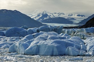 Glacier tongue and icebergs, Knik Glacier, Alaska, USA, North America