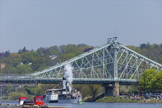 Steamship parade of the historic paddle steamers at blauen Wunder