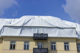 An apartment building in Bannewitz has a massive wood tick infestation despite renovation. The pest