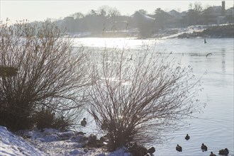 White splendour on the banks of the Elbe between Blasewitz and Loschwitz