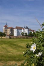 Torgau Hartenfels Castle