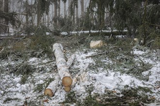 Winter in the Ore Mountains