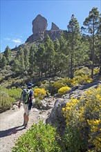 Hikers in the Parque Rural del Nublo, Roque Nublo in the back, Las Palmas province, Gran Canaria,