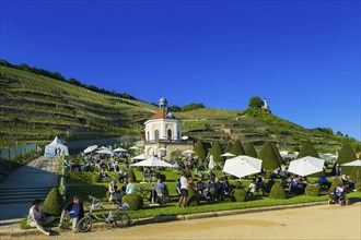 Winery Wackerbarth Castle