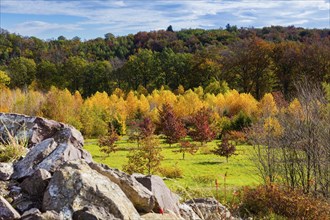 The Forest Botanical Garden Tharandt is an institution of the Technical University of Dresden and