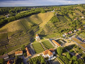 Wackerbarth Castle, originally Wackerbarths Ruh', is a Baroque castle surrounded by vineyards in