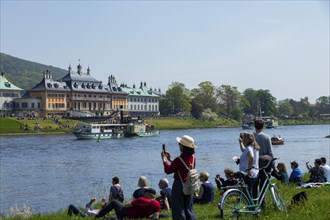 Steamship parade of historic paddle steamers in front of Pillnitz Palace